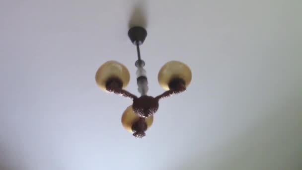 Потолочная лампа, свисающая от землетрясения
 - Кадры, видео