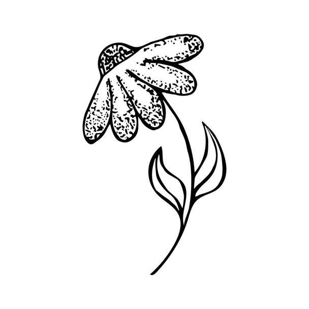 Prosty ręcznie rysowany element kwiat rumianku. Może być stosowany do drukowania produktów, kartek okolicznościowych. sylwetka kwiatowa - Wektor, obraz