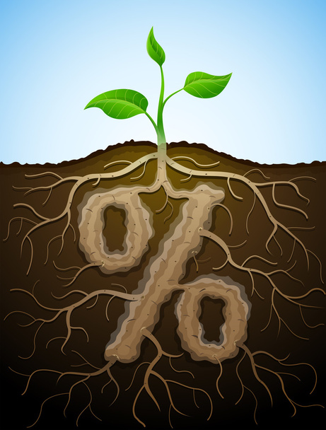 Znak procent jako kořen rostliny - Vektor, obrázek