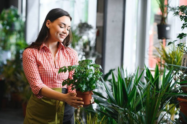 Side rear view of charming female florist in apron putting pots with green plant on shelves in floral shop. Young woman gardener working with houseplants at home. Concept of floral small business - Φωτογραφία, εικόνα