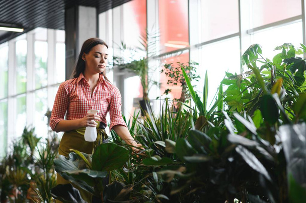 Woman florist working at her flower shop standing surrounded by plants. - Foto, Bild