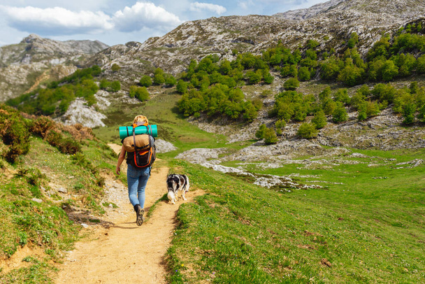 Жінка - туристка, оснащена рюкзаком, спальними мішками і бівуаком, що йде зі своїм собакою вгору по горі в національному парку Пікос - де - Європа (Астурія, Іспанія). Подорож з домашніми тваринами - Фото, зображення