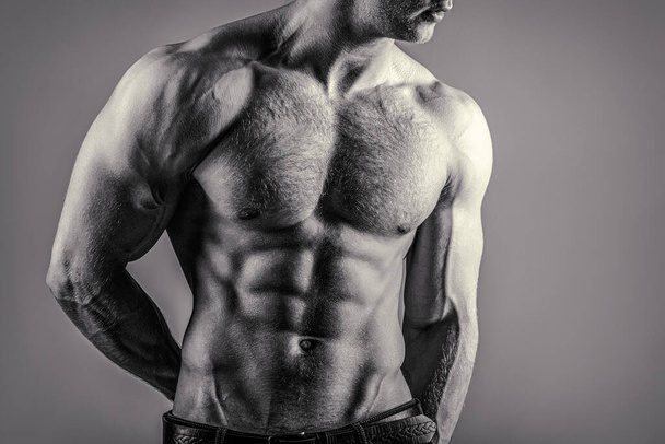 Six pack abs. Strong man with torso. Sexy muscular man. Sensual mans body. Fitness model. Isolated on grey background. Black and white. - 写真・画像
