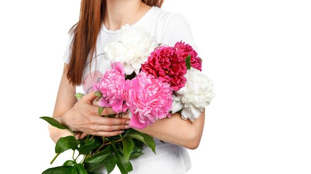 beautiful peonies in the hands of a girl on a white background close-up - Photo, image