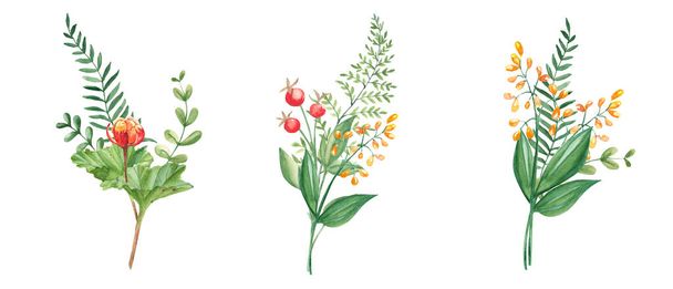 Conjunto de buquês de verão aquarela de ramos verdes, baga, flores silvestres e bagas vermelhas. Ilustração botânica desenhada à mão. Pode ser usado para cartões de felicitações, convites, desenhos florais - Foto, Imagem