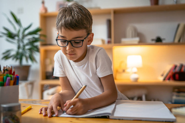 young boy child kid pupil study work on homework assignment at home - Fotografie, Obrázek
