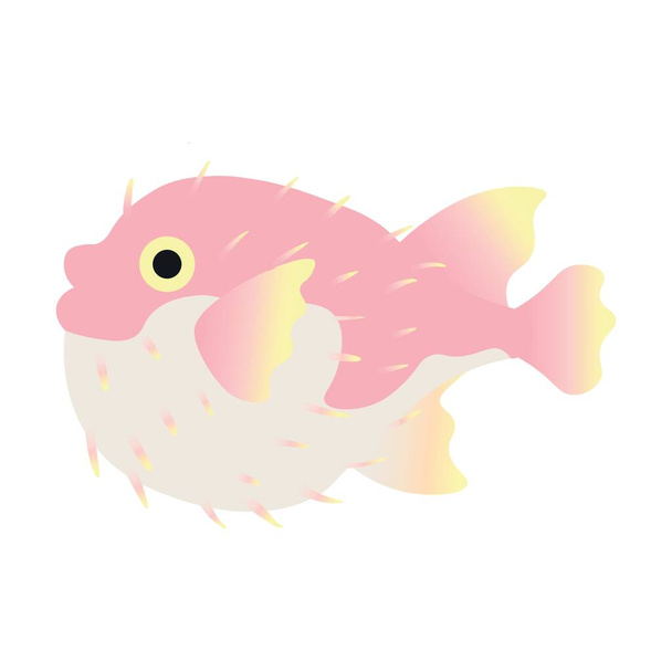 Cute pufferfish on white background - Vector, Image