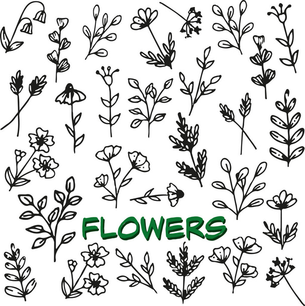 vector floral pattern. flowers. hand drawn style.  - Photo, Image