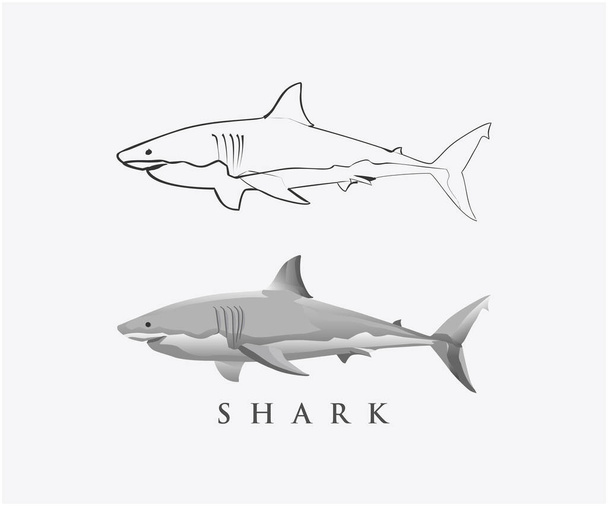 vector illustration of sharks logo  - ベクター画像