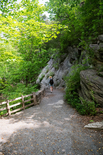 woman with backpack walks along a path along green trees and rocks in the forests of America. back view - Foto, Imagem