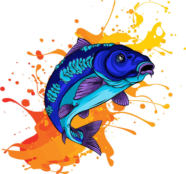 colored Carp fish vector illustration - Vector, Image