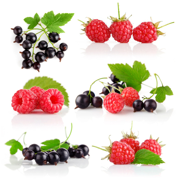 Set fresh berry fruits with green leaves - Foto, imagen