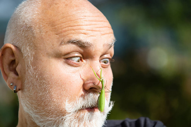 Mantis on face. Comic and humor sense. Men with beard and mustache mature hipster, humor concept. Funny story and humor. Insects concept - Foto, afbeelding