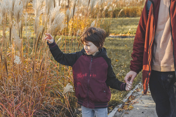 Pieni valkoihoinen poika pitää kädestä isänsä viettää perheen aikaa yhdessä kävely kaupungin puistossa - Valokuva, kuva