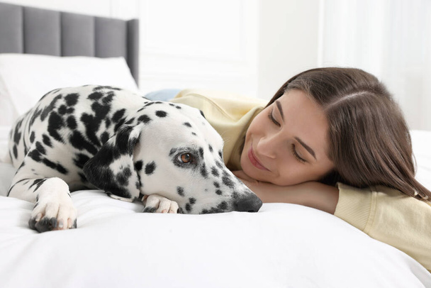 Beautiful woman with her adorable Dalmatian dog on bed at home. Lovely pet - Fotoğraf, Görsel