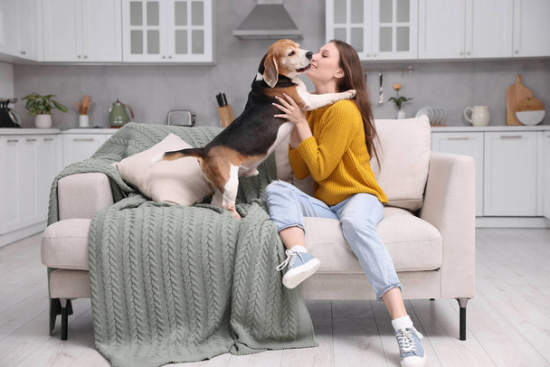 Beautiful young woman with her cute Beagle dog on couch at home. Lovely pet - Foto, immagini