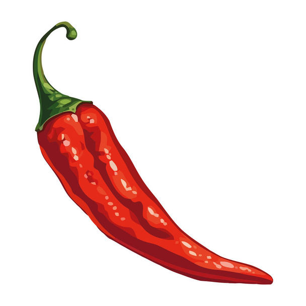 Tuoreet orgaaniset chili mausteet terveelliseen ruoanlaittoon kuvake eristetty - Vektori, kuva