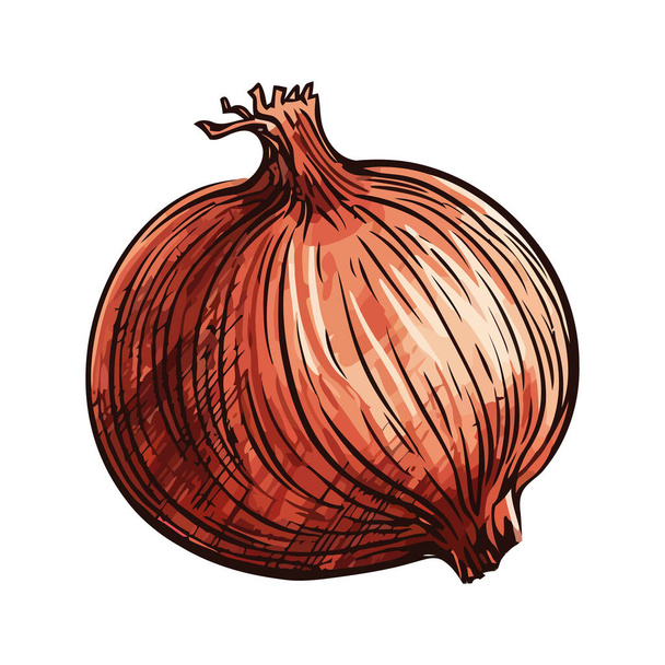 Healthy organic vegetable onion icon isolated - Vettoriali, immagini