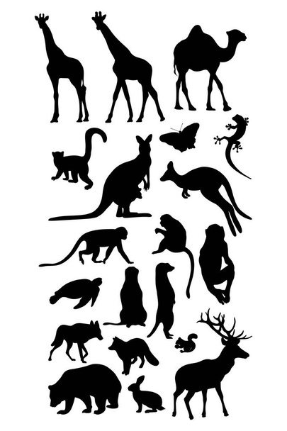 Collection silhouettes animals. Vector illustration. Isolated hand drawings tropical African giraffe, meerkat, monkey, kangaroo and forest predators bear, fox and wolf on white background - Vector, Image