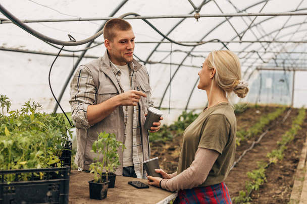 Two Caucasian people working together in a greenhouse. - Foto, Imagem