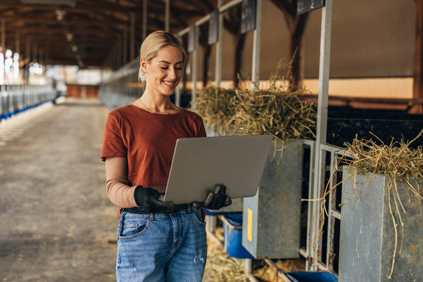 A beautiful Caucasian woman is standing in a stable with a laptop. - 写真・画像
