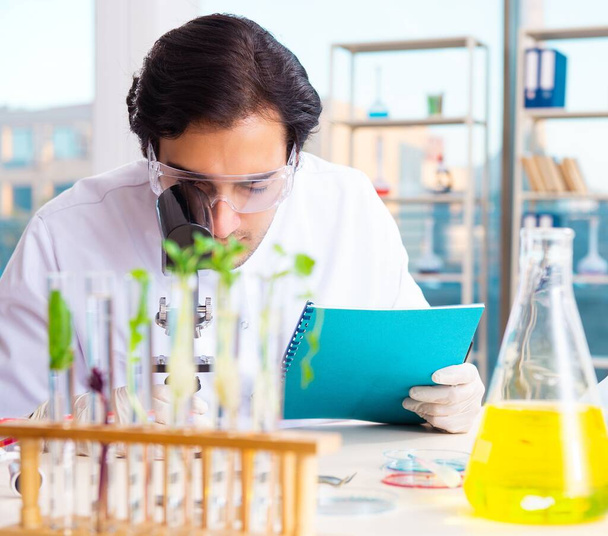 The male biotechnology scientist chemist working in the lab - Photo, Image