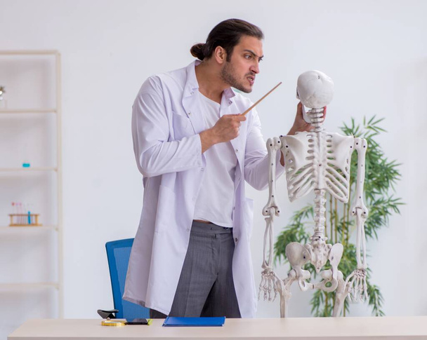 Giovane medico che dimostra scheletro umano - Foto, immagini