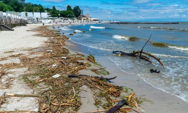 Наслідки інциденту на Каховській електростанції, забруднення пляжів Одеси сміттям і залишками рослин, принесеними водою. - Фото, зображення