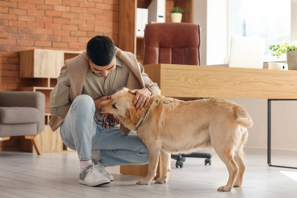 Genç adam ofiste şirin Labrador köpeğiyle oynuyor. - Fotoğraf, Görsel