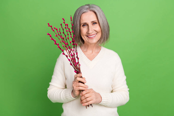 Photo of attractive grandmother wear white trendy pullover hold willow fresh flower spring season isolated on green color background. - Photo, Image