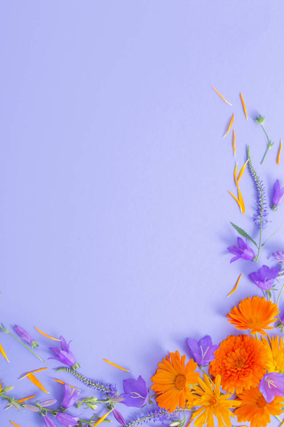 summer flowers  on violet paper background  - Foto, Imagem