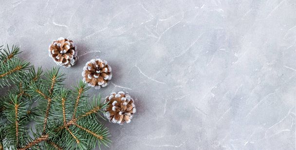 Spruce branches with cones on concrete background. Holiday postcard, invitation. The concept of New Year and Christmas. Copyspace. - Фото, зображення