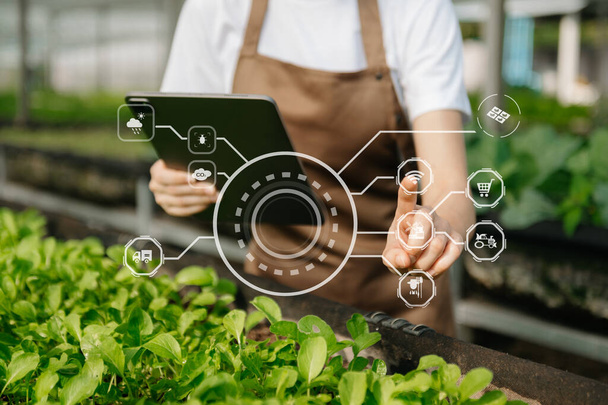 Smart farmer using application by tablet , concept of  modern agricultural technology and visual icon.Smart farming at greenhouse - Photo, image
