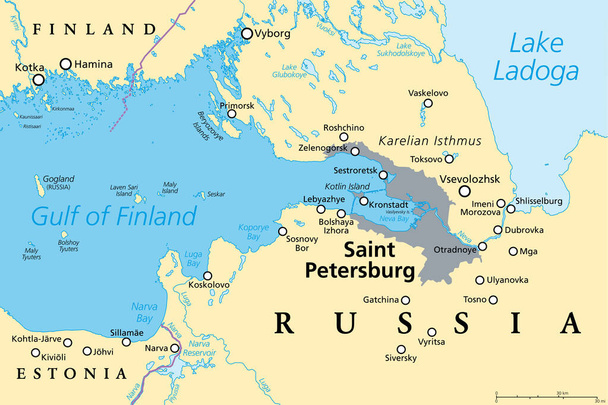 Área de São Petersburgo, mapa político. Segunda maior cidade da Rússia, anteriormente conhecida como Petrogrado e depois Leningrado. Situado no Rio Neva, à frente do Golfo da Finlândia, no Mar Báltico. - Vetor, Imagem