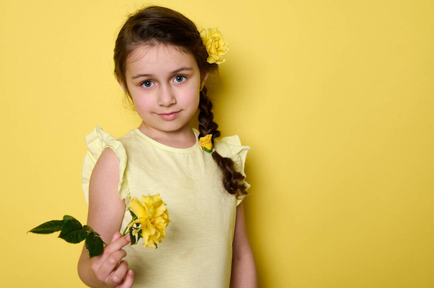 Caucasian lovely baby girl, adorable child 5-6 years old in yellow t-shirt, holding a yellow rose flower, looking at camera, isolated on yellow color background with free advertising space for text - Photo, Image