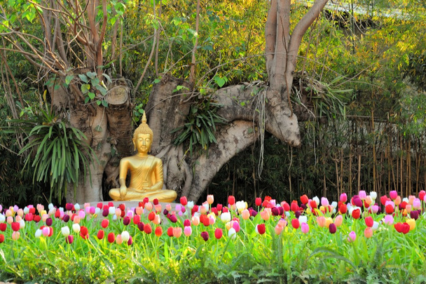 Buddha, a meditáció, virágok közt - Fotó, kép