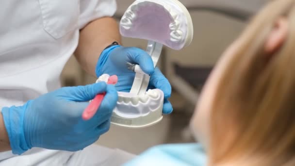 El médico utiliza cepillos de dientes y modelos de dientes para demostrar la manera correcta de cepillarse los dientes. Vídeo vertical - Imágenes, Vídeo