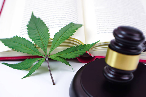 Focus van cannabisblad of marihuana blad, wazig rechter hamer en boek geplaatst op de rug. Recht, rechtsbegrip. - Foto, afbeelding