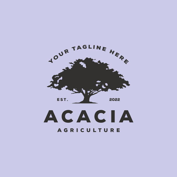 アカシアの木のロゴヴィンテージベクトルシンボルイラストデザイン、古い木のロゴデザイン - ベクター画像