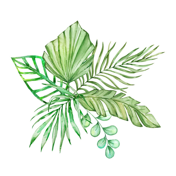 Watercolor bouquet of bright tropical leaves for design - Photo, image