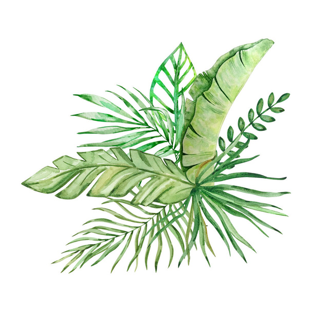 Akvarell csokor világos trópusi levelek design - Fotó, kép