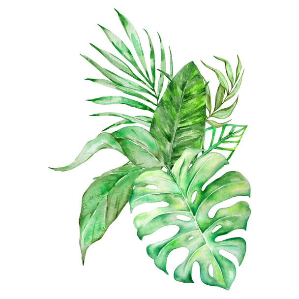 Ramo de acuarela de hojas tropicales brillantes para el diseño - Foto, imagen