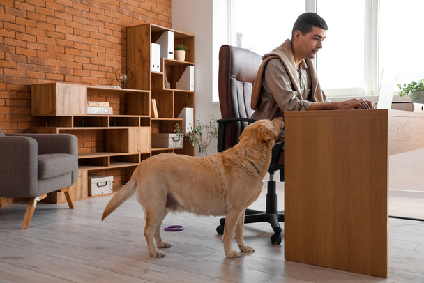 Νεαρός με χαριτωμένο Λαμπραντόρ σκυλί που εργάζεται στο τραπέζι στο γραφείο - Φωτογραφία, εικόνα