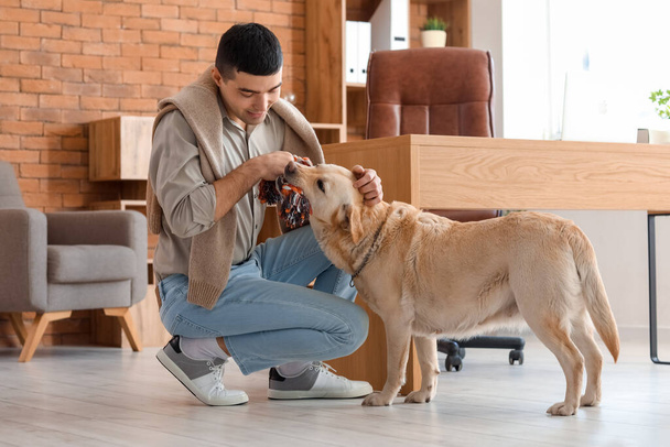 Junger Mann spielt mit süßem Labrador-Hund im Büro - Foto, Bild