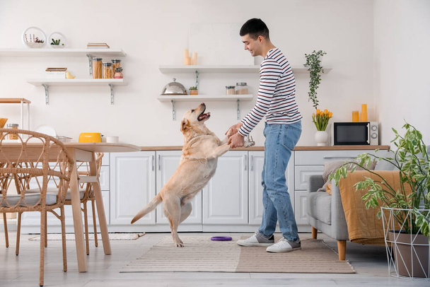 Fiatal férfi aranyos Labrador kutya tánc a konyhában - Fotó, kép