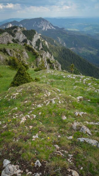 a beautiful landscape of a mountain in the carpathians  - Photo, image