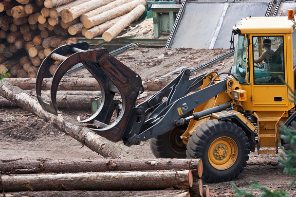 Skidder hauling logs at sawmill. - Zdjęcie, obraz
