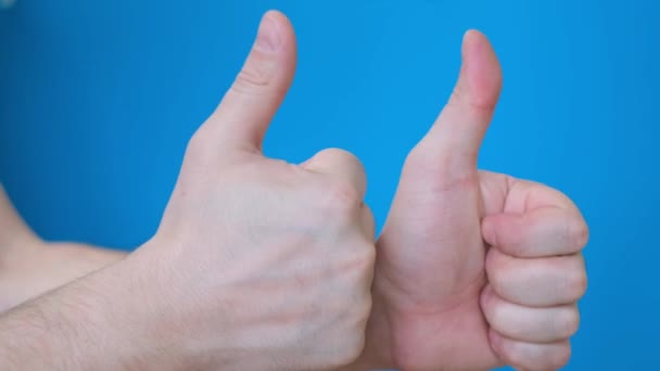 Twee mannelijke handen die duimen laten zien op een helderblauwe achtergrond. Ze tonen klasse. Positieve handgebaren op de achtergrond - Video