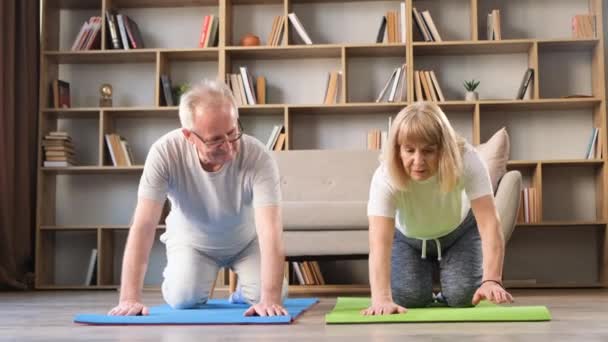 Hermosa pareja de ancianos haciendo ejercicios de fitness en la colchoneta de gimnasia en casa en la sala de estar. Concepto de estilo de vida saludable de las personas - Imágenes, Vídeo
