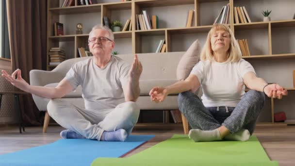 Happy elderly couple doing fitness yoga at home. Mature retired husband and wife enjoying meditation. Healthy lifestyle concept - Footage, Video